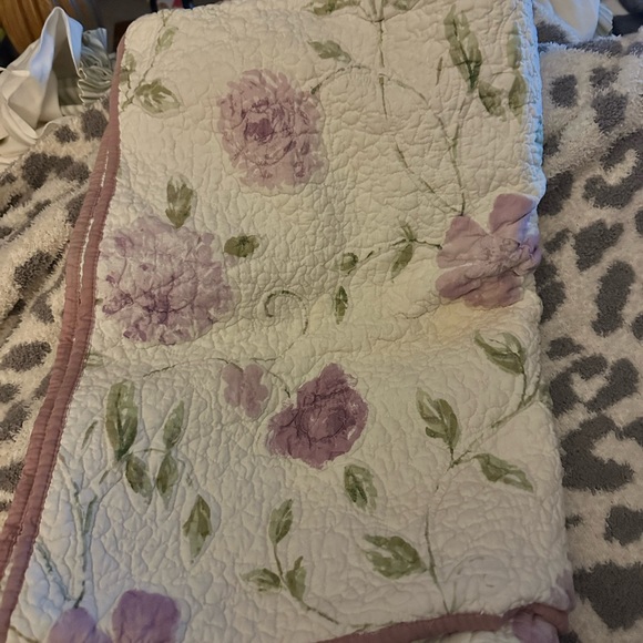 Set of 2 Liz Claiborne pillow shams - Picture 2 of 2